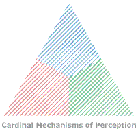 Würfel in Dreieck - Cardinal Mechanisms of Perception