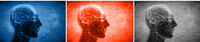 Stilisierter Kopf mit Gehirn auf blauem, rotem und schwarzem Hintergrund